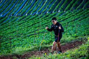 BIB: 
                            <button type="button" onclick="openModal(19159932)" class="btn btn-primary btn-sm float-right btn-popup" data-toggle="modal" data-target=".modal-high-quality">
                        <i class="fas fa-shopping-cart"></i> Add to Cart
                    </button>
                                            <button type="button" onclick="isThisMe(19159932, true)" class="btn btn-success btn-sm float-right btn-popup btn-isme hidden" data-toggle="tooltip" data-placement="bottom" title="นี่คือรูปของคุณใช่ไหม คลิกที่นี่เพื่อเอาเข้าอัลบั้ม">
                        <i class="fas fa-plus"></i> Add to album
                    </button>
                    <button type="button" onclick="isThisMe(19159932, false)" class="btn btn-warning btn-sm float-right btn-popup btn-isnotme hidden">
                        <i class="fas fa-ban"></i> Remove from album
                    </button>